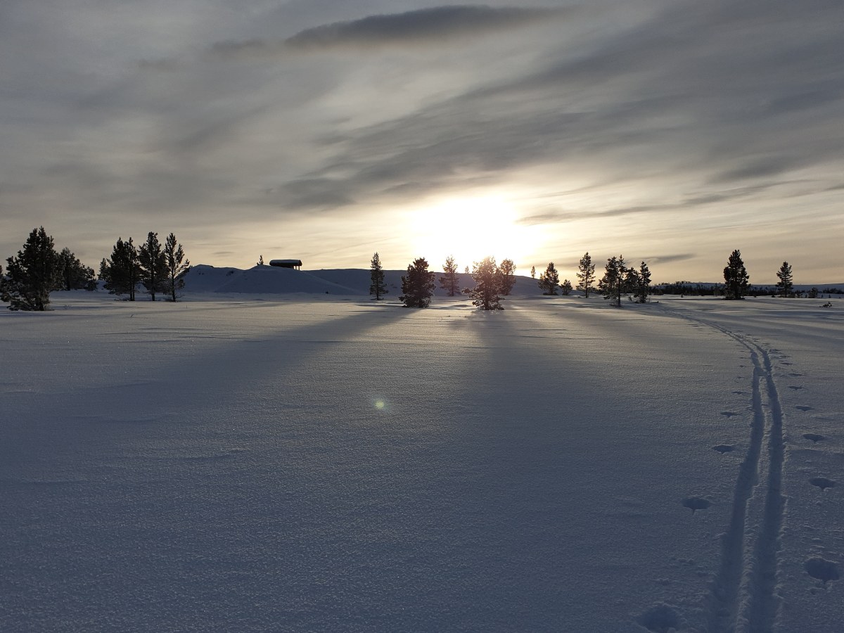 Differential ski waxing